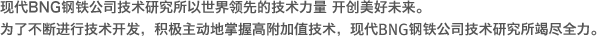 “现代BNG钢铁公司技术研究所以世界领先的技术力量 开创美好未来。为了不断进行技术开发，积极主动地掌握高附加值技术，现代BNG钢铁公司技术研究所竭尽全力。 