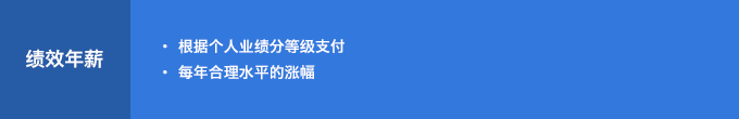 绩效年薪 : 根据个人业绩分等级支付, 每年合理水平的涨幅