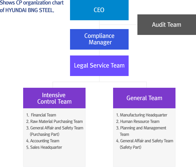 Shows CP organization chart of HYUNDAI BNG STEEL.